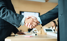 Crea una persona jurídica con una estructura y funcionamiento propios.